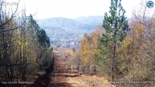 IMG-56c61aa1ea0c706bd21e5aebc01c0fb2-V