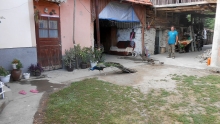 DSCN3447
