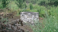 PIC_0036