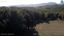 Still1010_00020