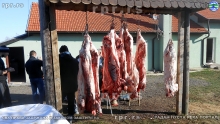 DSCN3908