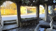 IMG_20241117_143017