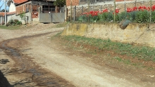DSCN3053