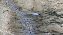 PIC_0029