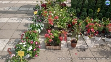 IMG_20240514_085822533_HDR