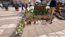 IMG_20240514_085831007_HDR