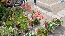 IMG_20240514_085902625_HDR