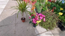 IMG_20240514_085922129_HDR