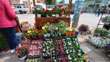 IMG_20240514_085959447_HDR