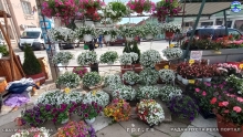 IMG_20240514_090014876_HDR
