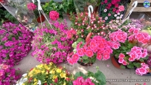 IMG_20240514_090417526_HDR