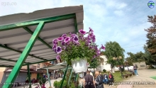 IMG_20240514_090543333_HDR