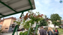 IMG_20240514_090552683_HDR