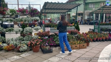 IMG_20240514_091205679_HDR
