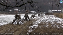 Still1219_00006