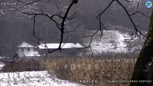 Still1219_00007