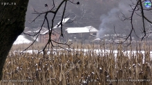 Still1219_00008