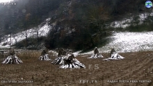 Still1219_00014