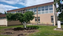 IMG_20240509_133646383_HDR