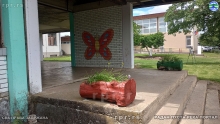 IMG_20240509_134647428_HDR