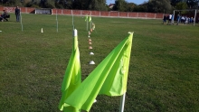 72270945_481929965728558_4744110339883270144_o_481929962395225