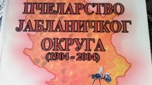 85011746_569141507007403_8558562299739111424_o_569141500340737