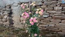 IMG_20240529_172036124_HDR
