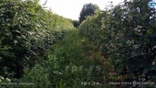 IMG_20240529_182246818