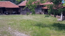 Still0602_00049