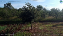 Still0602_00060