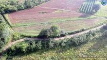 Still0602_00071