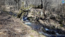 20190324_102055
