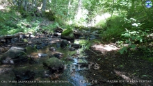 DSCN3456