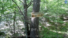DSCN3461