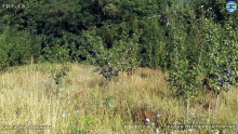 Still0201_00011