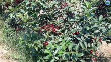 20190619_111538
