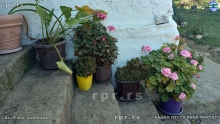 IMG_20221016_133139219_HDR