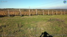 IMG_20221016_151526276