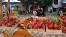 IMG_20240719_183523688