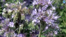 Still0103_00013