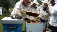 20190622_121506