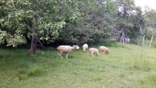 20190622_160950