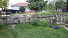 20190622_162258