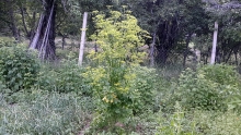 20190622_173451