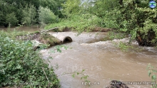 IMG_20230615_155604616_HDR