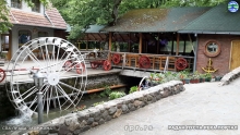 Still1124_00012