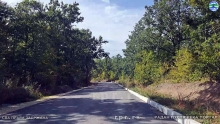 Still1124_00019