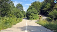 Still1124_00051