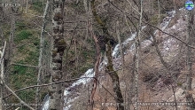 Still0414_00054