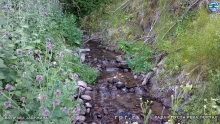 IMG_20240606_164443036